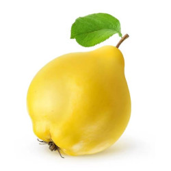 Ayva